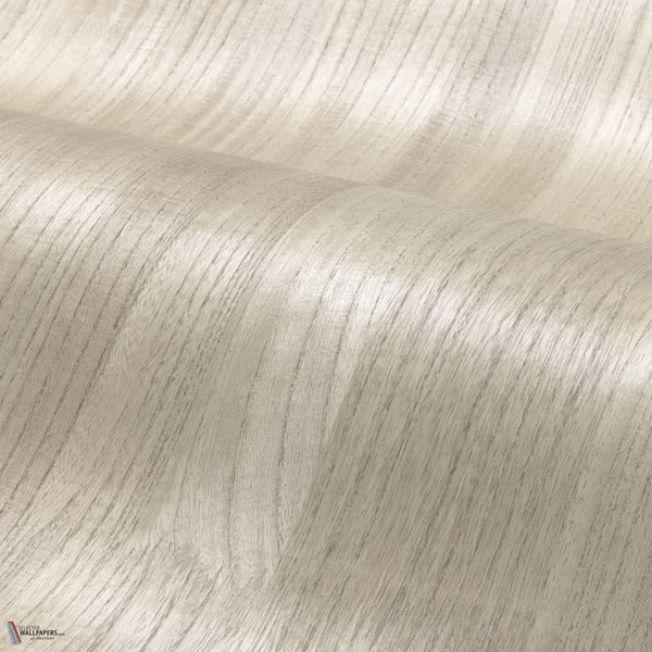 Ebony wallpaper in Gris Cendre by Casamance
