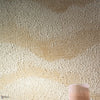 Jasper Tapete in Sable von Casamance