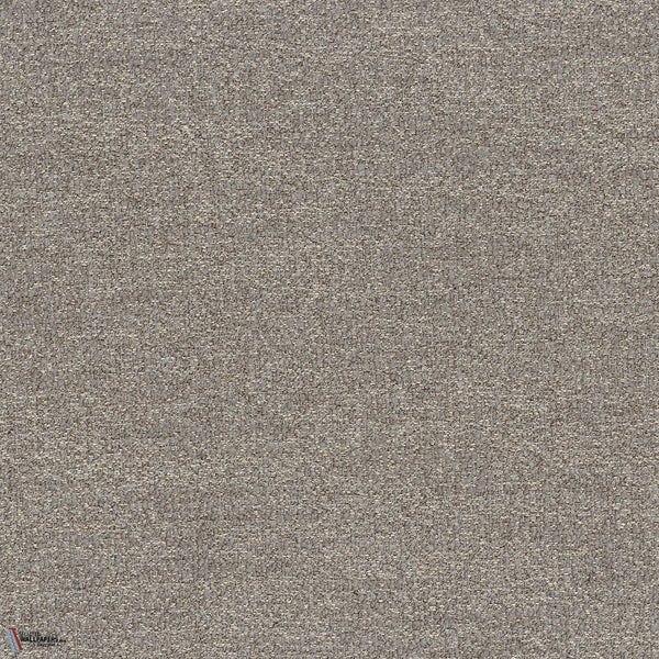 Moreo fabric in Gris Cendre by Casamance