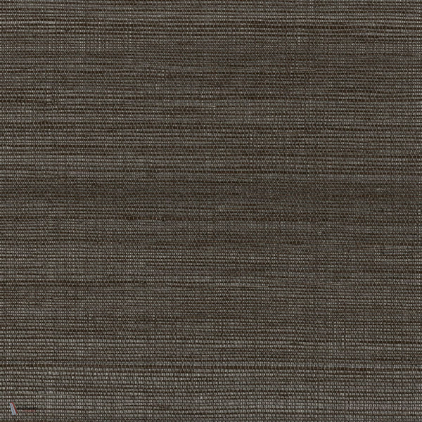 Picta wallpaper in Carbone by Casamance