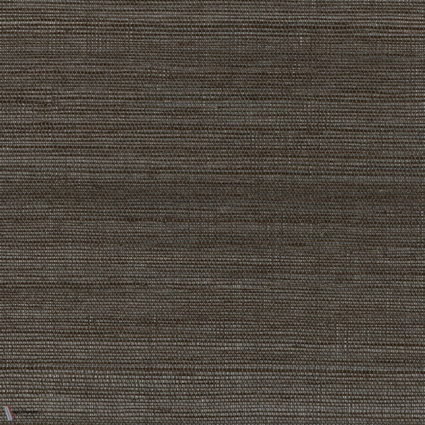 Picta behang in Carbone van Casamance