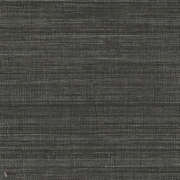 Picta wallpaper in Noir/Acier by Casamance