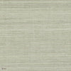 Picta wallpaper in Pierre Bleue by Casamance