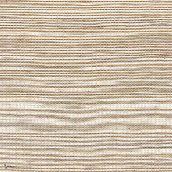 Picta wallpaper in Taupe by Casamance