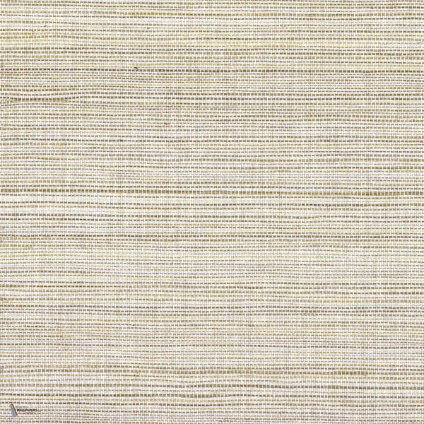 Picta wallpaper in Terre Argent by Casamance