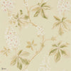 Chestnut Tree wallpaper in Coral/Bayleaf van Sanderson