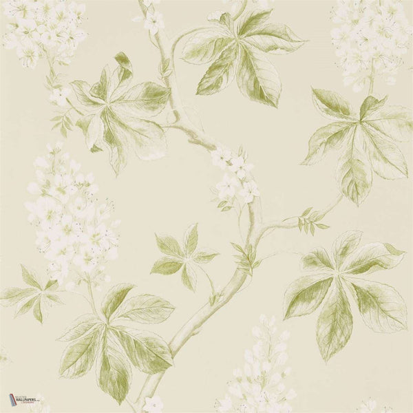 Chestnut Tree wallpaper in Lemon/Lettuce van Sanderson