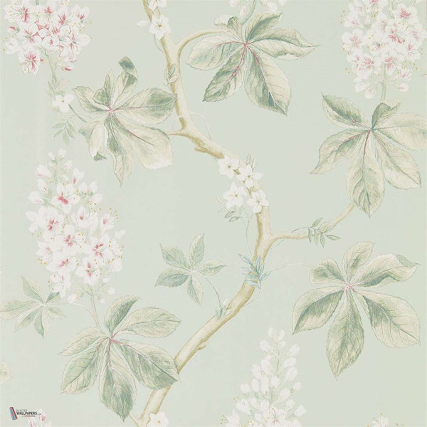 Chestnut Tree wallpaper in Seaspray/Peony van Sanderson