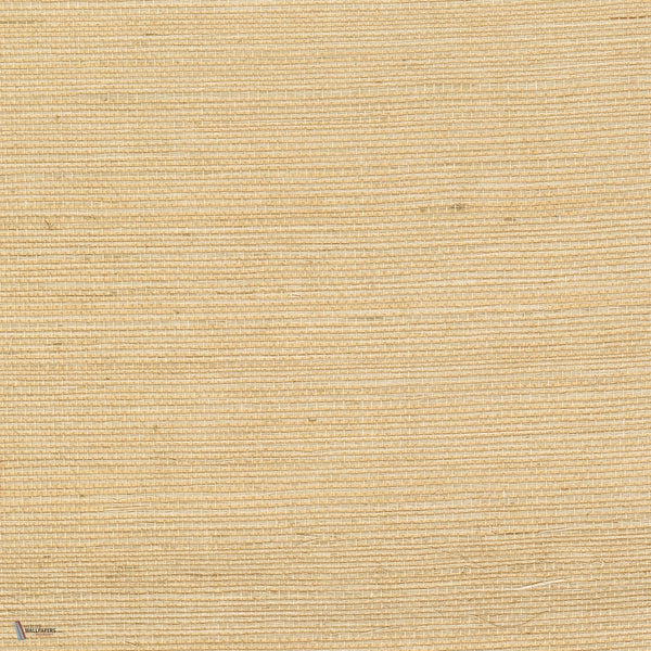 Sisal Tapete in Blond von CMO Paris