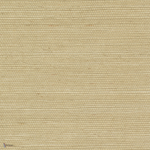 Sisal Tapete in Champagne von CMO Paris