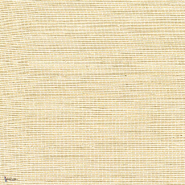 Sisal Tapete in Ecru von CMO Paris