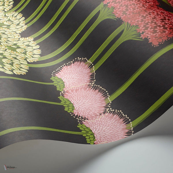 Allium behang in Coral & Leaf Green on Charcoal van Cole & Son