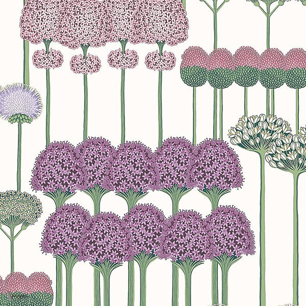 Allium behang in Mulberry, Blush & Lilac on Chalk van Cole & Son