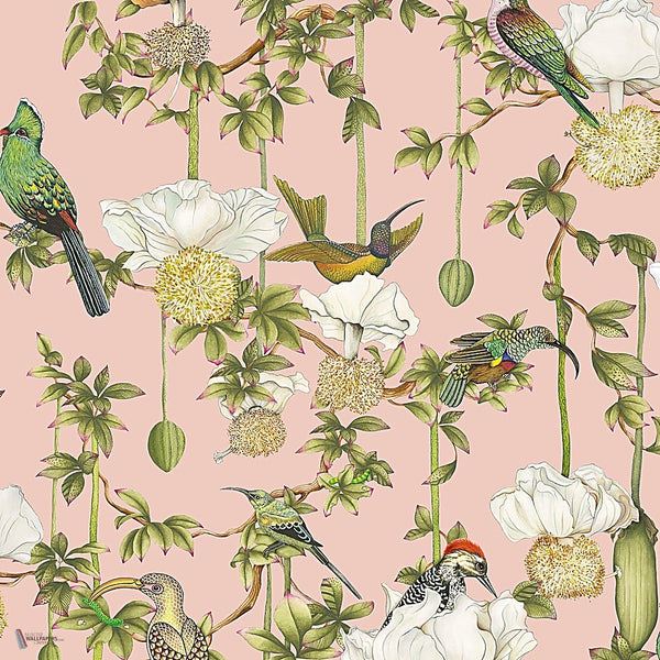 Baobab Botanica behang in Blush van Cole & Son