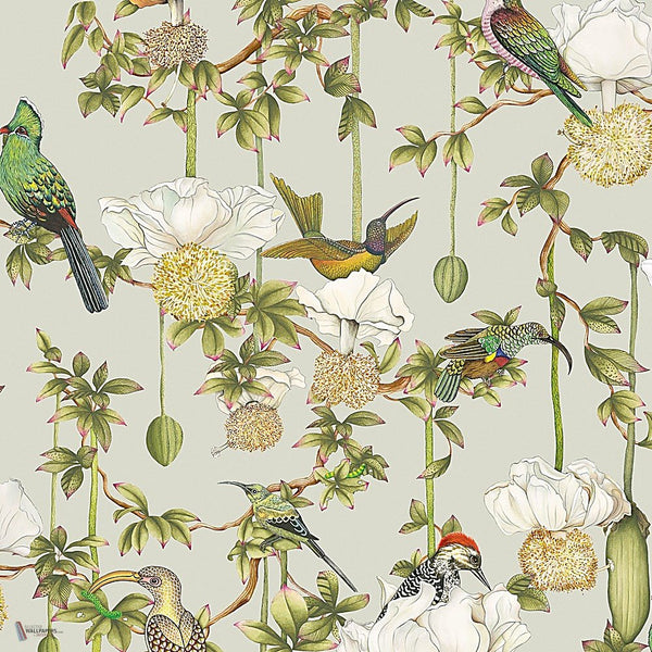 Baobab Botanica behang in Duck Egg van Cole & Son