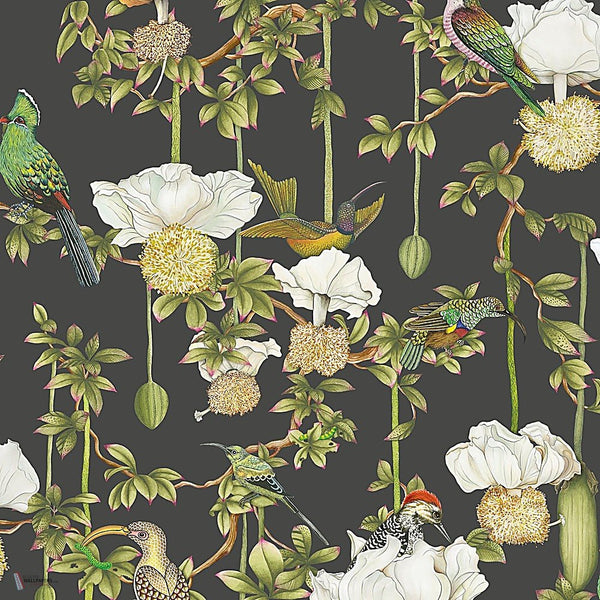 Baobab Botanica behang in Onyx van Cole & Son