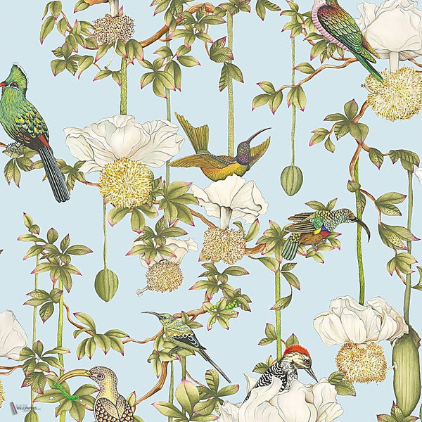 Baobab Botanica behang in Sky Blue van Cole & Son