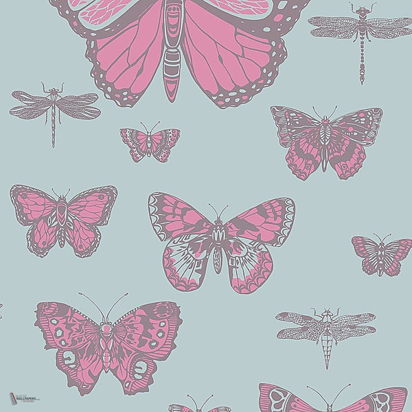 Butterflies & Dragonflies behang in Fuchsia & Mink on Seafoam van Cole & Son
