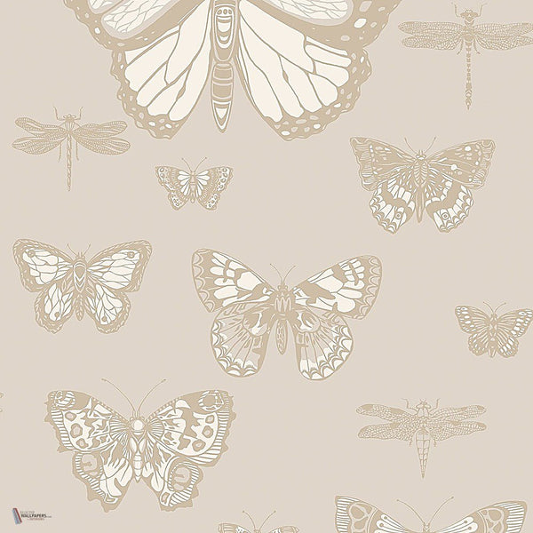 Butterflies & Dragonflies behang in Metallic Gilver & White on Stone van Cole & Son