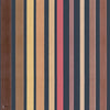 Carousel Stripe behang in Ginger on Soot van Cole & Son