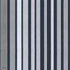 Carousel Stripe behang in Metallic Silver on Charcoal van Cole & Son