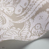 Chatterton Tapete in Chalk on Taupe von Cole & Son