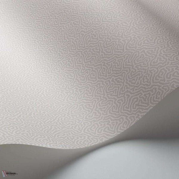 Coral wallpaper by Cole & Son