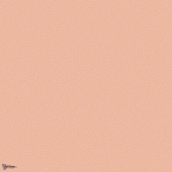 Coral wallpaper in Coral by Cole & Son