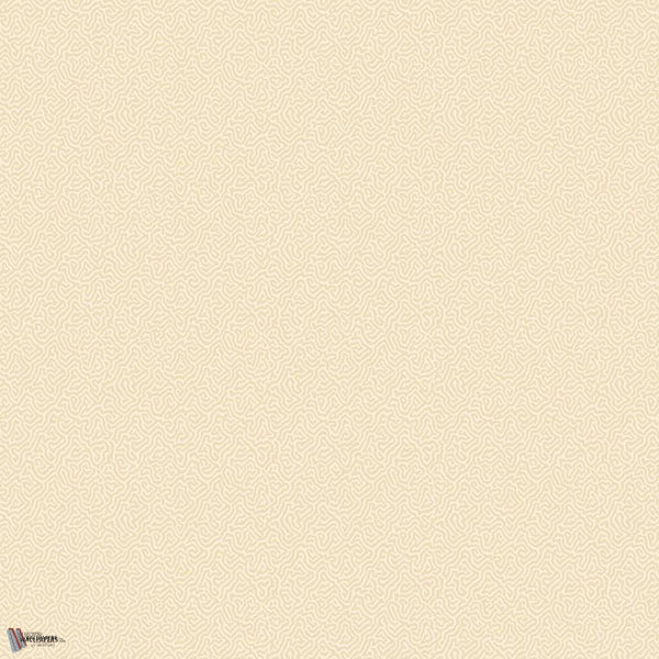Coral behang in Cream van Cole & Son