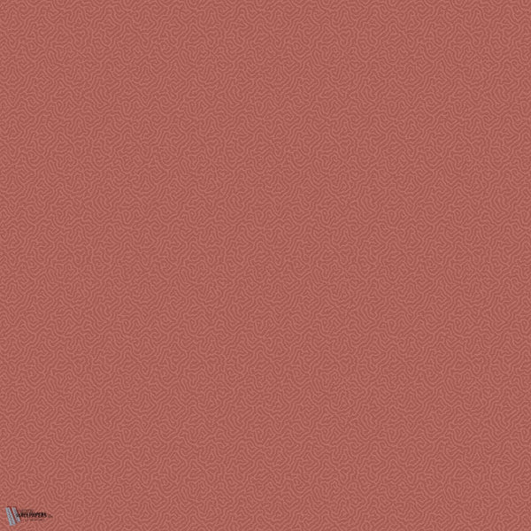 Coral behang in Red van Cole & Son