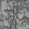 Cow Parsley Icons behang in Charcoal van Cole & Son