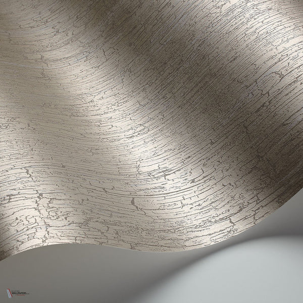 Crackle behang in Metallic Gilver van Cole & Son