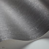 Crackle Curio Tapete in Metallic Gilver on Charcoal von Cole & Son