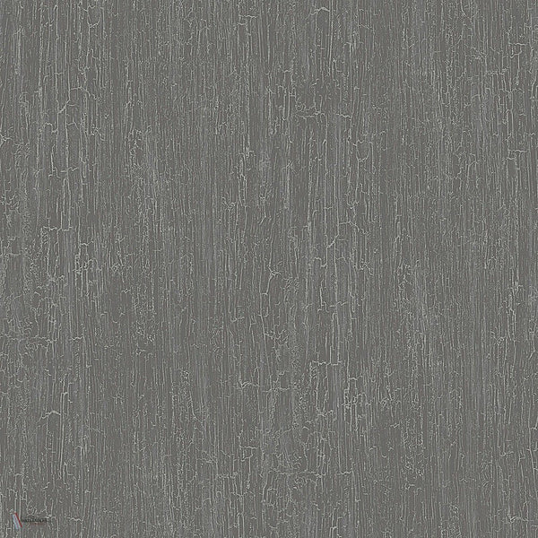 Crackle Curio Tapete in Metallic Gilver on Charcoal von Cole & Son