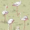 Flamingos Icons behang in Olive van Cole & Son