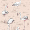 Flamingos Icons behang in Plaster Pink van Cole & Son