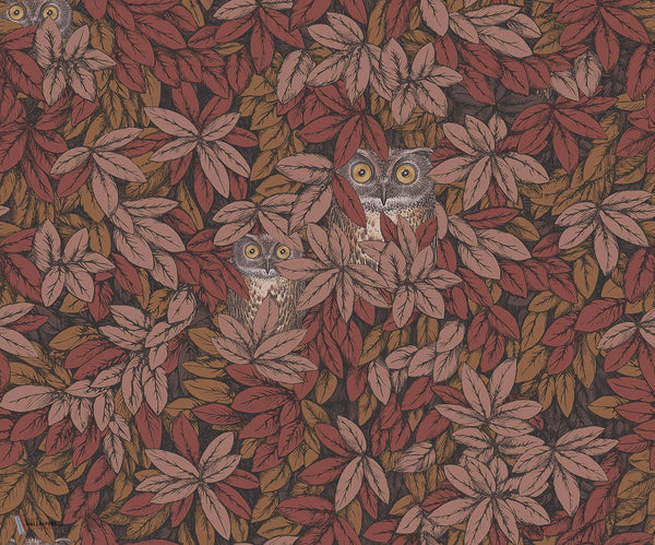 Foglie e Civette behang Cole & Son — interieur