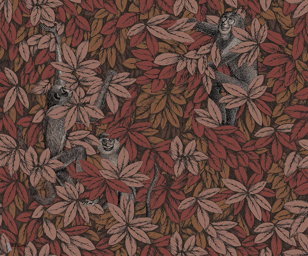 Foglie e Scimmie Tapete Cole & Son — Interieur