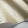 Goldstone behang in Metallic Gilver on Stone van Cole & Son