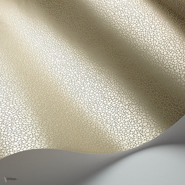 Goldstone behang in Metallic Gilver on Stone van Cole & Son