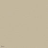 Goldstone behang in Metallic Gilver on Stone van Cole & Son