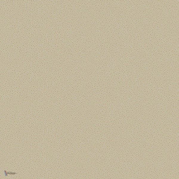 Goldstone behang in Metallic Gilver on Stone van Cole & Son