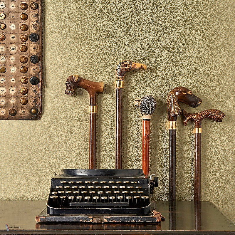 Goldstone wallpaper by Cole & Son — interior