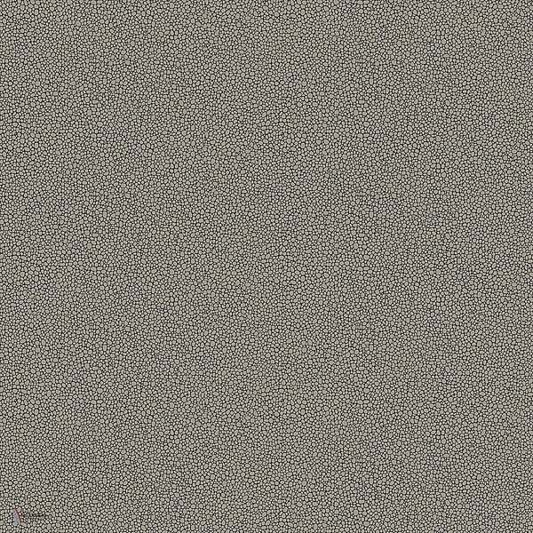 Goldstone behang in Metallic Silver on Charcoal van Cole & Son