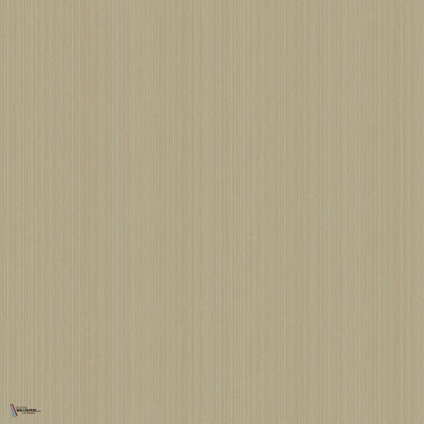 Jaspe behang in Metallic Gilver van Cole & Son
