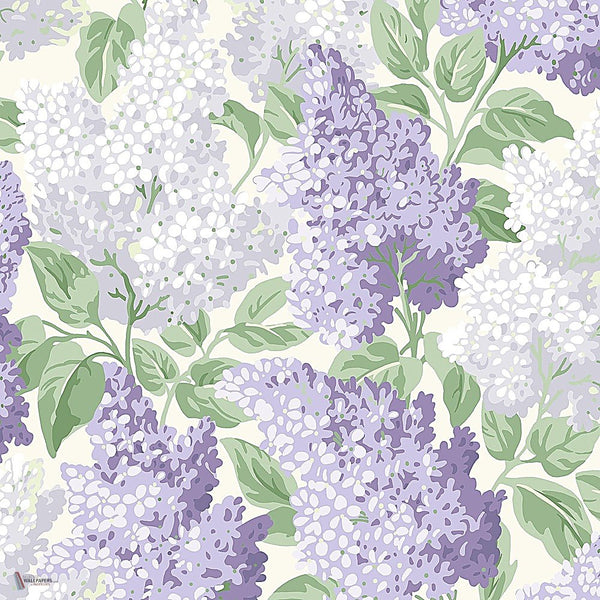 Lilac behang in Lilac & Heath Grey on White van Cole & Son