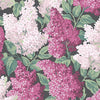 Lilac behang in Magenta & Blush on Charcoal van Cole & Son