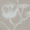Lily Tapete in Chalk on Taupe von Cole & Son