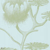 Lily Tapete in Olive Green on Seafoam von Cole & Son