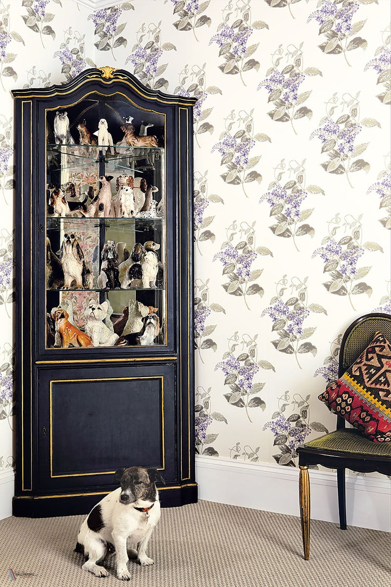 Madras Violet Papier Peint Cole & Son — intérieur